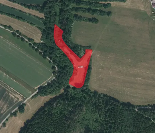 Prodej louky, Radkovice u Budče, 6873 m2