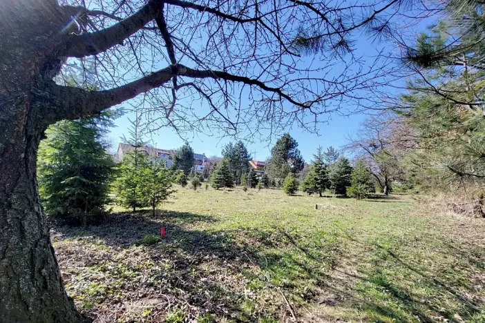 Prodej pozemku pro bydlení, Popůvky, 971 m2