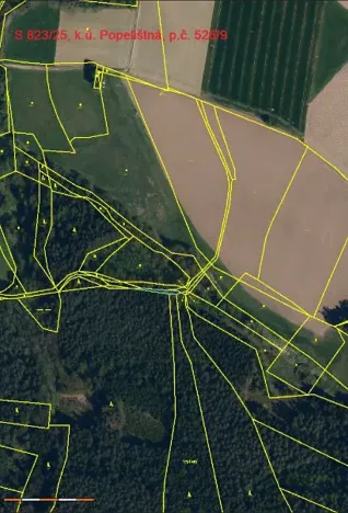 Prodej lesa, Červená Řečice, 150 m2