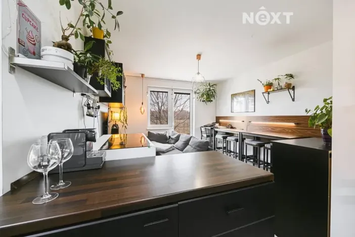 Prodej bytu 3+kk, Slavkov u Brna, Zelnice I, 64 m2