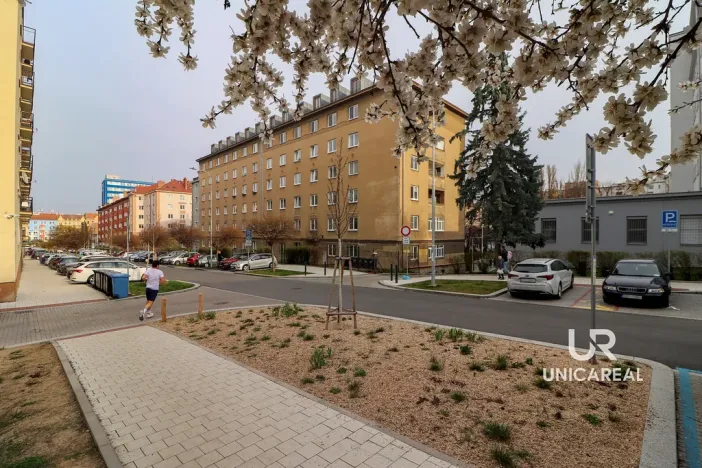 Prodej bytu 2+kk, Brno - Veveří, Dřevařská, 55 m2