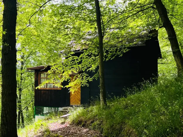 Prodej chaty, Kaliště, 30 m2