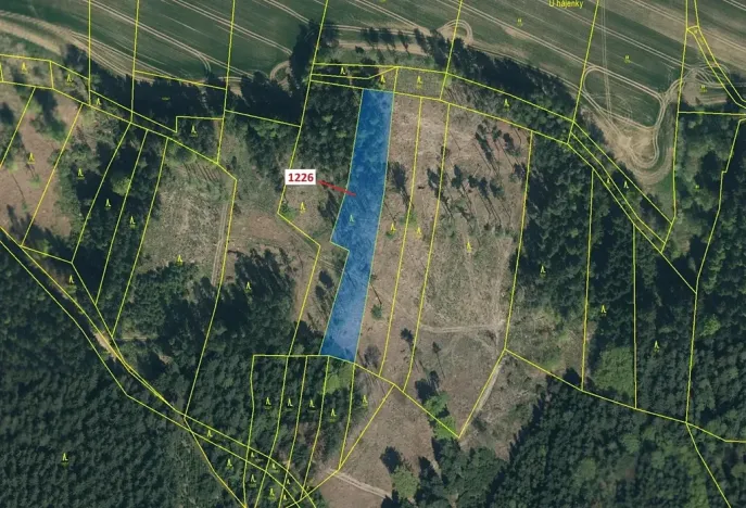 Dražba lesa, Vilice, 3593 m2