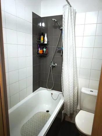 Prodej bytu 1+1, Slaný, Mírová, 27 m2