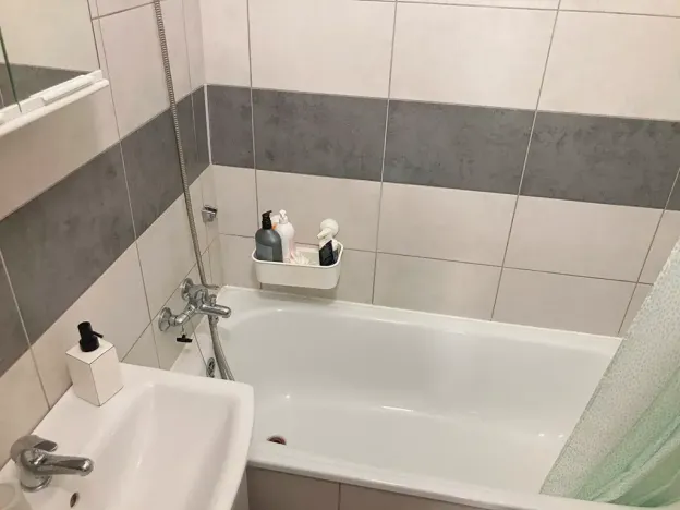 Pronájem bytu 2+1, Ostrava, Tlapákova, 54 m2