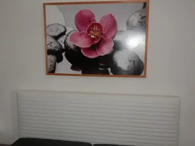 Pronájem bytu 2+1, Česká Lípa, Mlýnská, 48 m2