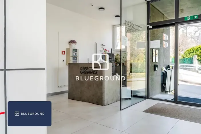 Pronájem bytu 1+kk, Praha - Vinohrady, Perucká, 27 m2