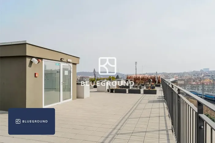 Pronájem bytu 1+kk, Praha - Vinohrady, Perucká, 27 m2