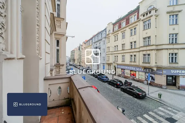 Pronájem bytu 4+kk, Praha - Vinohrady, Slavíkova, 84 m2