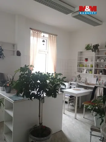 Pronájem obchodního prostoru, Děčín - Děčín IV-Podmokly, Teplická, 270 m2