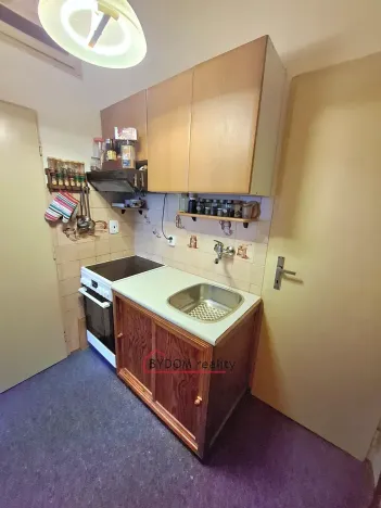 Prodej bytu 1+kk, Praha - Bubeneč, Terronská, 27 m2