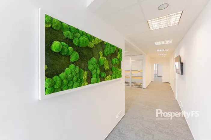 Pronájem kanceláře, Brno - Štýřice, Pražákova, 26 m2