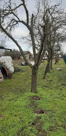 Prodej zahrady, Břeclav, Letiště, 1429 m2