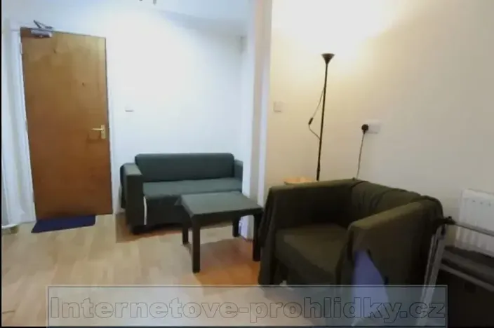 Pronájem bytu 1+1, Praha - Nové Město, Vladislavova, 40 m2