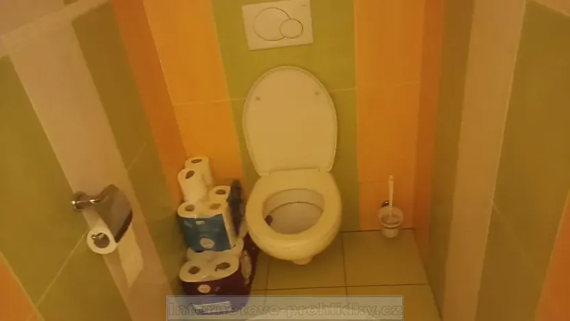 Pronájem pokoje, Praha - Písnice, Na okruhu, 25 m2