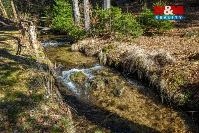 Prodej chalupy, Desná - Desná III, Polubenská, 248 m2