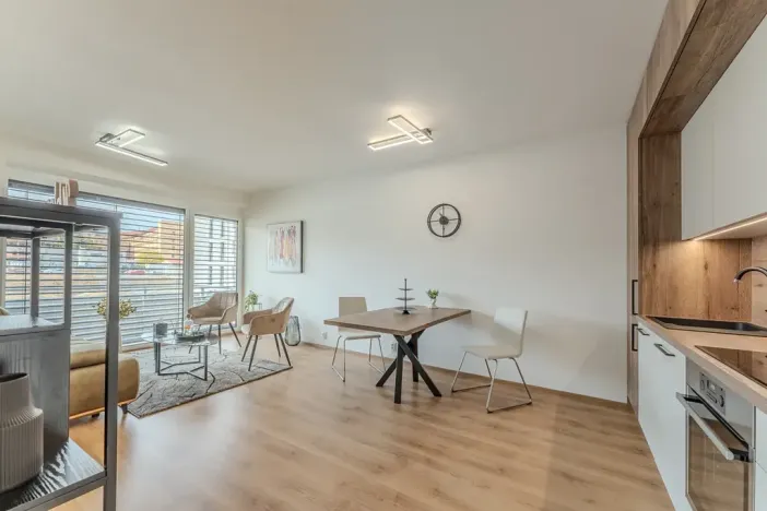 Prodej bytu 2+kk, Hořovice, K Bažantnici, 53 m2