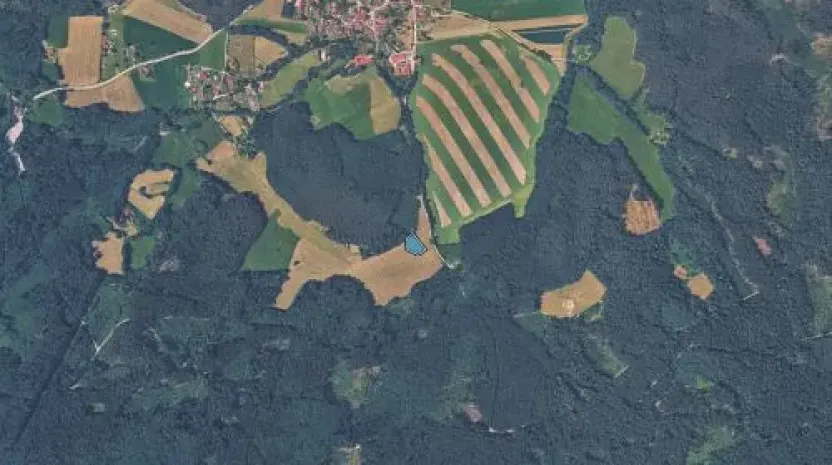 Prodej pole, Holubov, 2498 m2