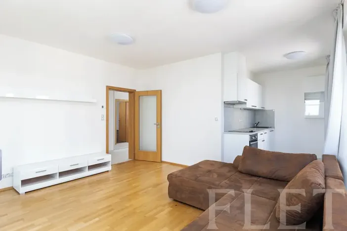 Pronájem bytu 2+kk, Praha - Žižkov, Olšanská, 56 m2