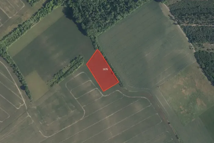 Prodej pole, Dřísy, 8020 m2