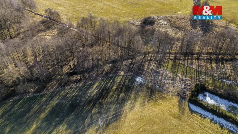 Prodej louky, Dětřichov, 4178 m2