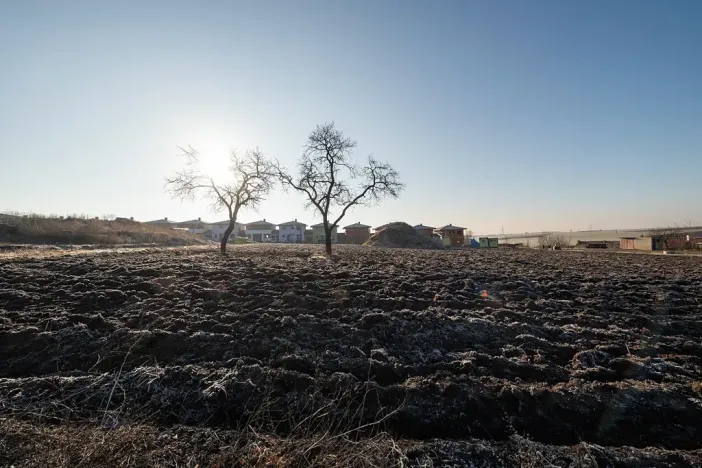 Prodej pozemku pro bydlení, Syrovice, 693 m2