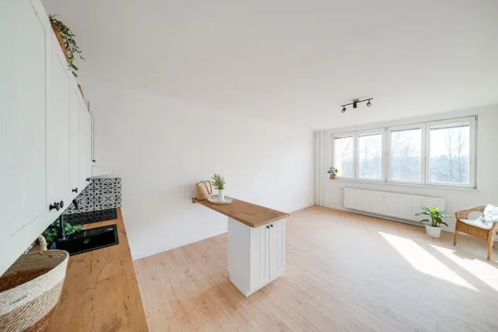 Pronájem bytu 1+kk, Český Těšín, Čáslavská, 32 m2