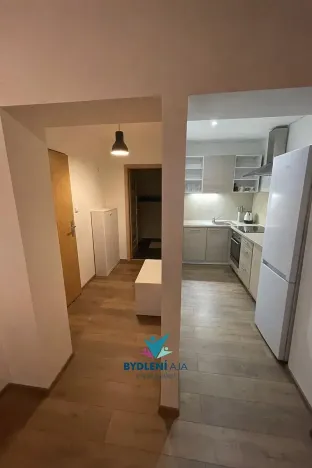 Pronájem bytu 1+kk, Ústí nad Labem, Bratislavská, 45 m2