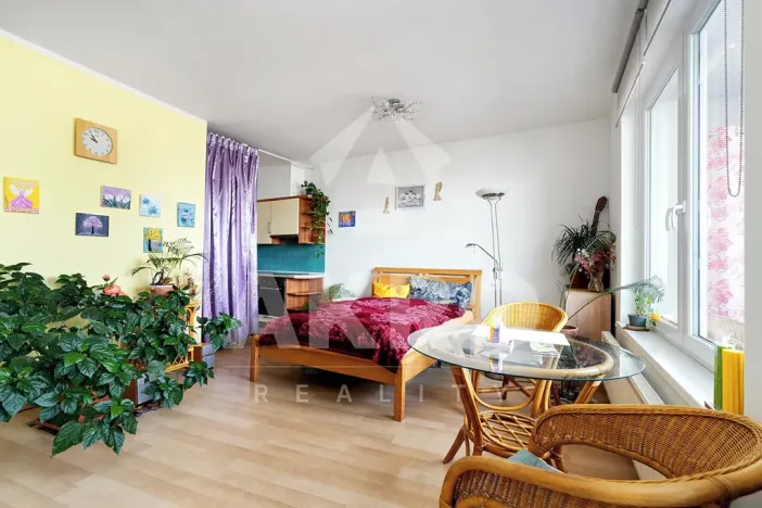 Prodej bytu 1+kk, Praha - Hloubětín, Nademlejnská, 37 m2