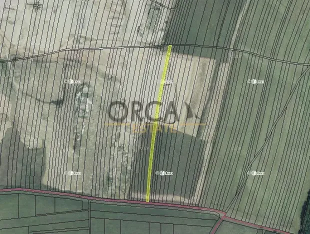 Prodej pozemku, Žabčice, 10011 m2