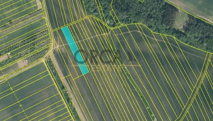 Prodej pole, Březolupy, 17736 m2