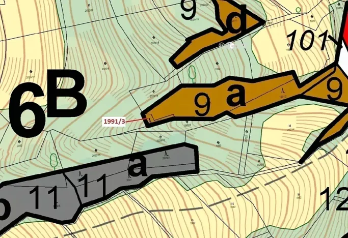 Dražba lesa, Hovězí, 115 m2