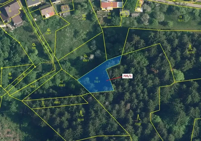 Dražba louky, Zlatá Olešnice, 438 m2