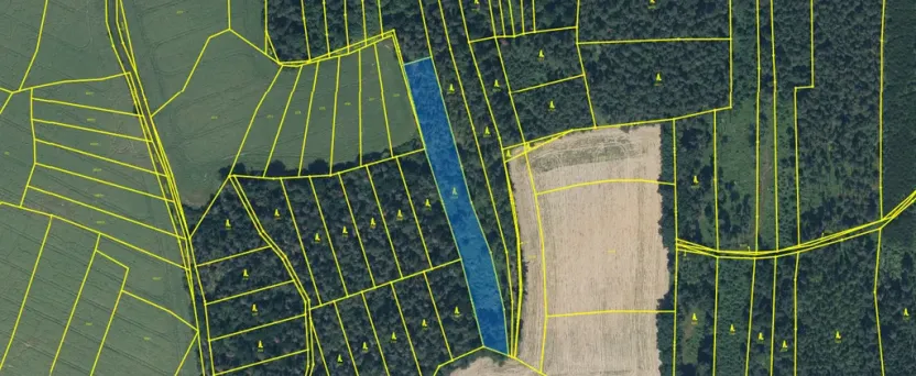 Prodej lesa, Blížejov - Lštění, 4624 m2