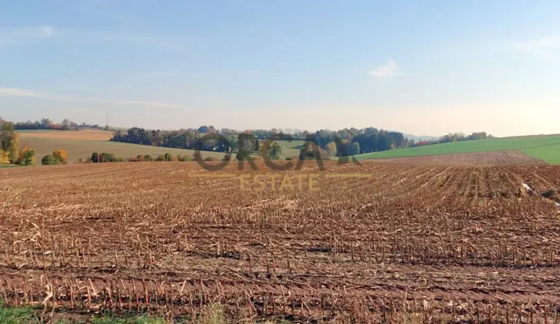 Prodej pole, Lomnice nad Popelkou, 5316 m2