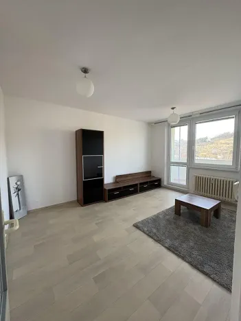 Pronájem bytu 1+1, Brumov-Bylnice, Am. Kutinové, 38 m2