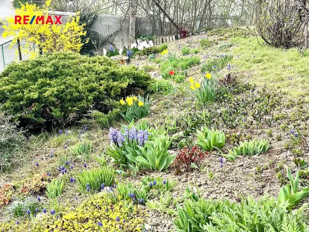 Prodej rodinného domu, Strážovice, 85 m2