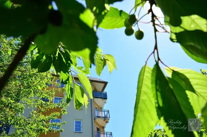 Prodej bytu 2+1, Chlumec, Stradovská, 64 m2