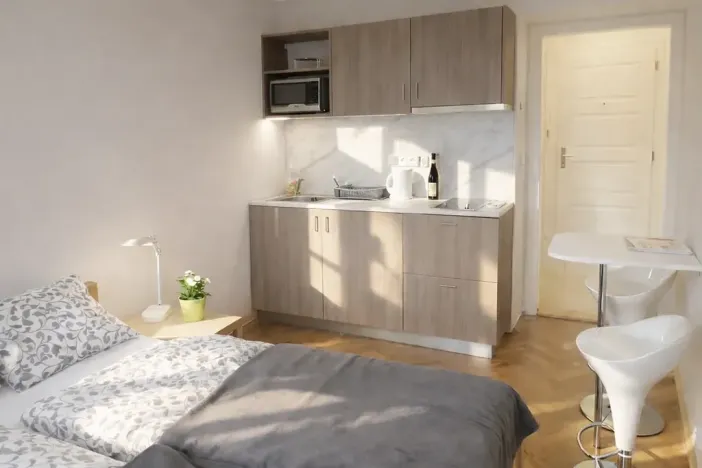 Pronájem bytu 1+kk, Praha - Žižkov, Fibichova, 25 m2