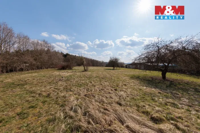 Prodej pozemku pro bydlení, Sadov - Lesov, 4925 m2