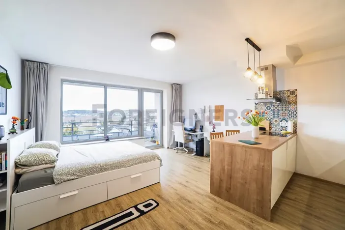 Prodej bytu 1+kk, Olomouc, Loudova, 36 m2