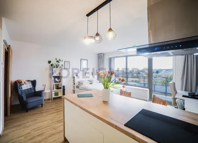 Prodej bytu 1+kk, Olomouc, Loudova, 36 m2