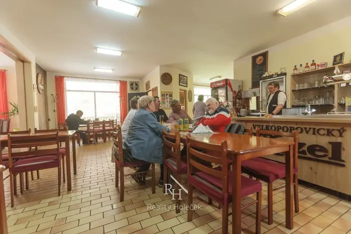 Prodej rodinného domu, Městečko, 230 m2