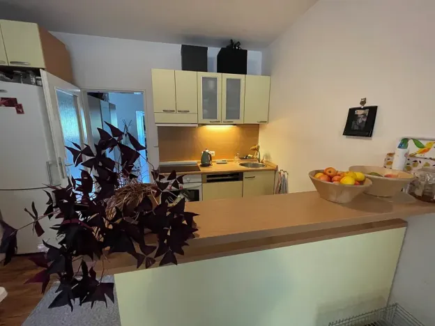 Prodej bytu 3+kk, Brno, bratří Žůrků, 68 m2