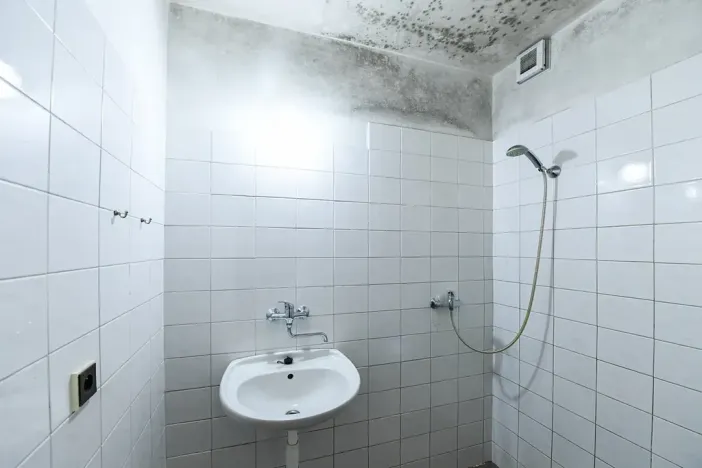 Prodej činžovního domu, Praha - Žižkov, Vlkova, 457 m2