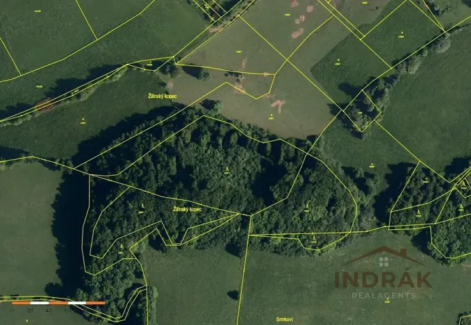 Prodej lesa, Nový Jičín, Na Samotě, 13092 m2