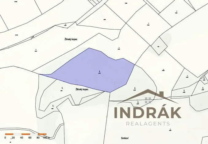 Prodej lesa, Nový Jičín, Na Samotě, 13092 m2