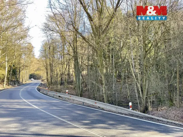 Prodej lesa, Dolní Dobrouč - Lanšperk, 4113 m2