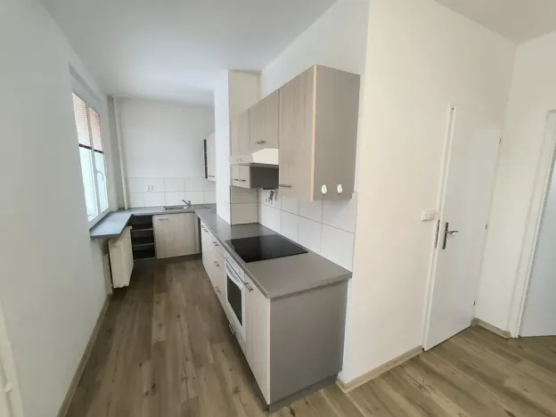 Pronájem bytu 2+1, Ústí nad Labem, Hornická, 55 m2