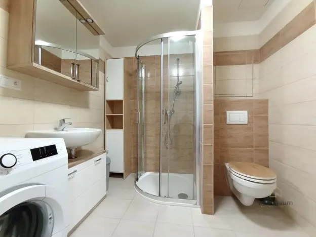 Pronájem bytu 1+kk, Plzeň - Jižní Předměstí, Rybářská, 49 m2